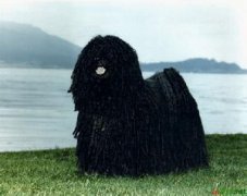 ȮƤô죿ͼ