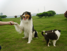 칷ëô